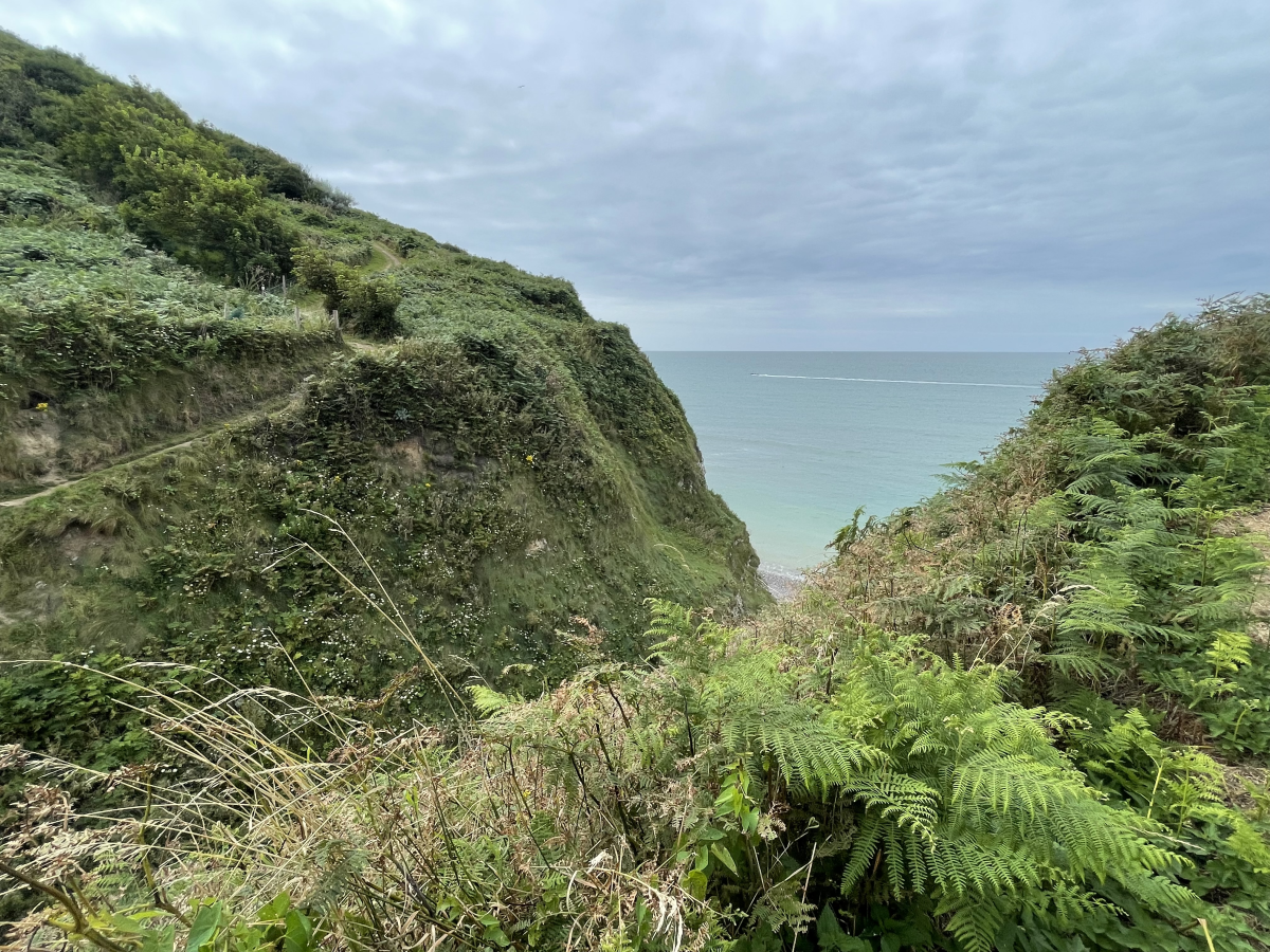 Bild Betriebsferien 3.-15. August | &copy; Wein- & Sektgut Corbet